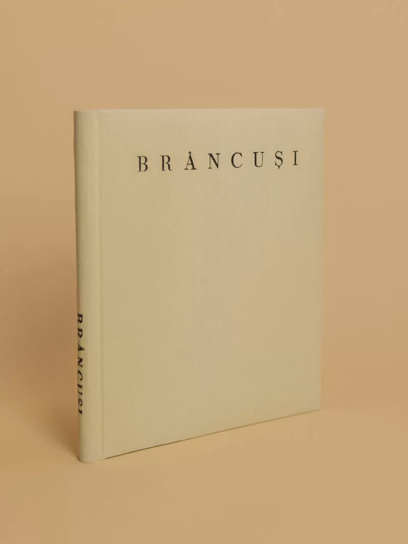 Brancusi book